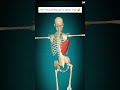 Skeleton 😀😁 #shortsfeed #medicosstuff #nursingdegree #viralvideo #ytshorts #nursingstudent #funny 😀