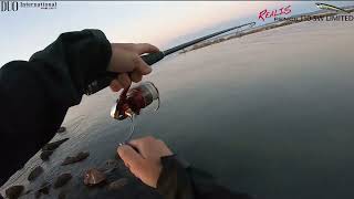 Duo Realis Pencil 110 Sw - Seab Live Strike