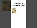 いつの間にか変わってね？要素 #バウンティ #バウンティラッシュ #ワンピース #bountyrush #bounty #onepiece #ヤマト #ルフィ #ロジャー #shorts