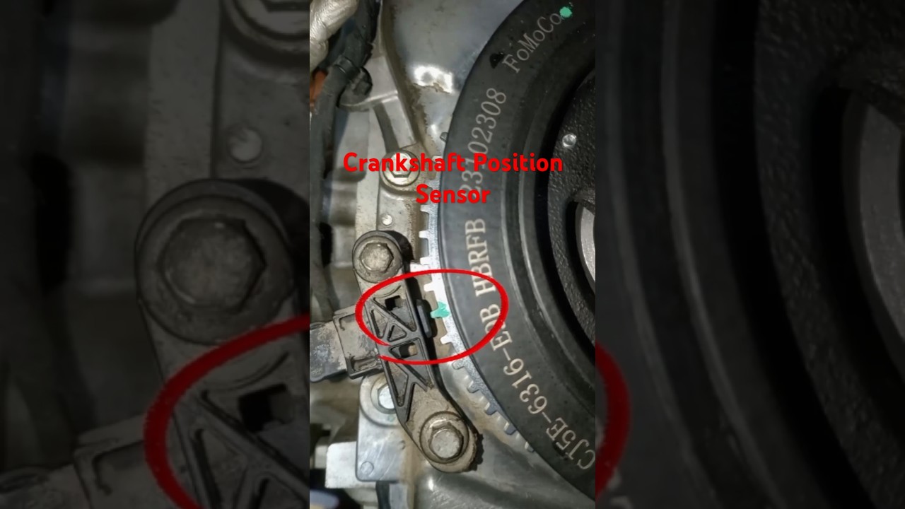 Ford Taurus 2020 Change Oil Seal & Harmonic Balancer 