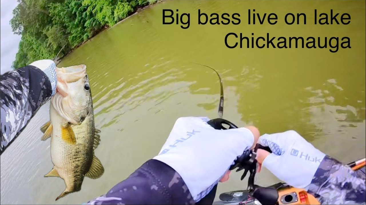Hunting big bass on Lake Chickamauga!
