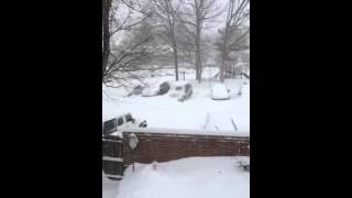 2016 Blizzard 22152