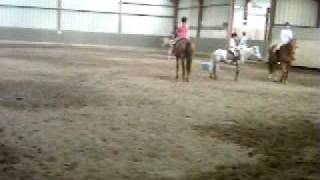 SUNP0028.AVI