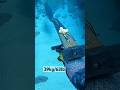 釣り人が好きな魚ランキング1位の魚は?