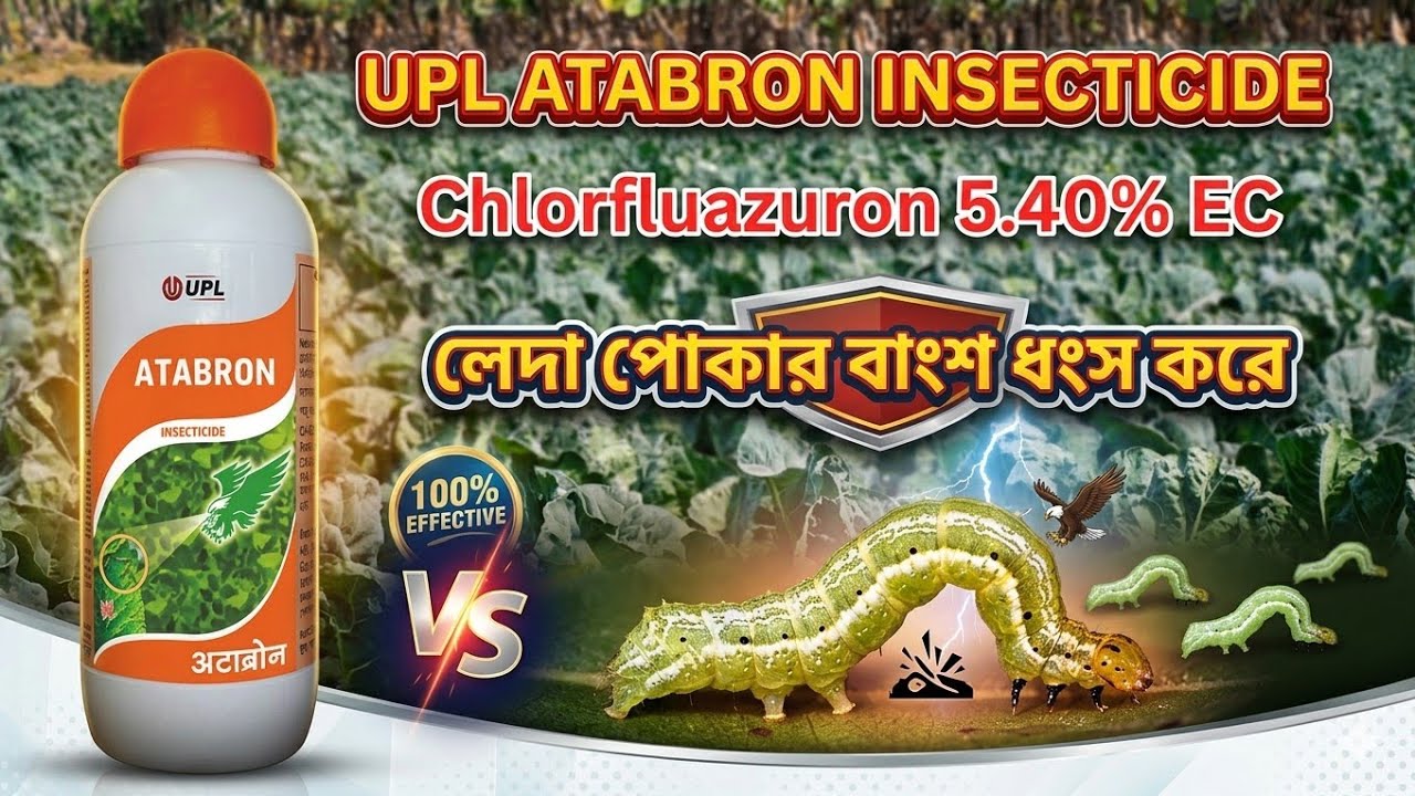 UPL ATABRON INSECTICIDE I Chlorfluazuron 5.40% EC I ATABRON কীটনাশকের ...