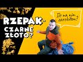 RZEPAK - CZARNE ZŁOTO? ILE NA NIM ZAROBIŁEM?