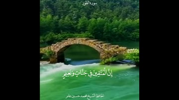 ‏‏اجمل حالات وتس اب تلاوة تريح النفس سورة الطور🌸محمد حسين عامر