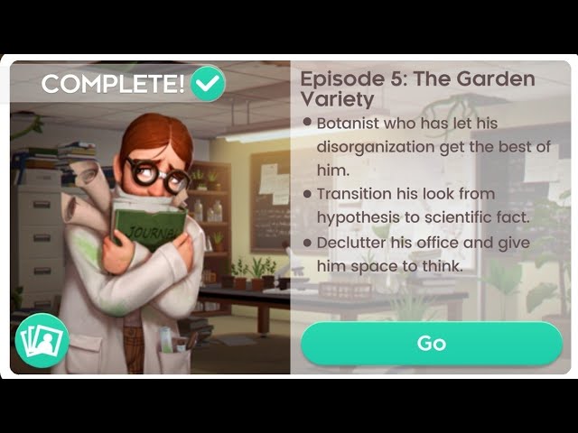 Project Makeover - Reveal Makeover 5 Walkthrough