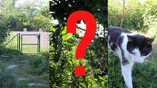 Wer plündert unseren Garten?! - Hofvlog 227