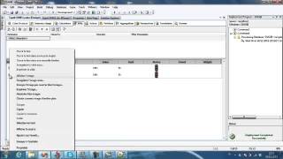 key performance indicators KPI (SSRS)
