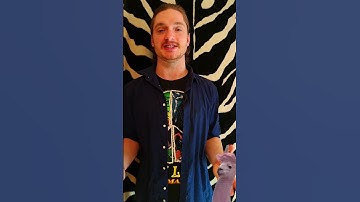 What is a strongly typed programming language and what does java have to do with it #soft