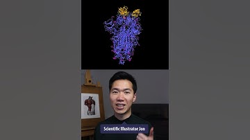 ChimeraX Tutorial | Moving 3D Proteins