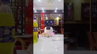 mozo robots ica