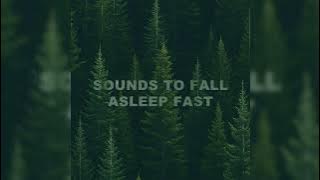 Sleep Soul - Amazon Rainforest Sleep Sounds
