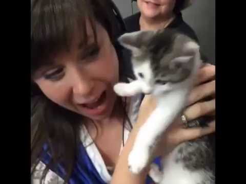 Betty Loses Her Mind During Cinco de Kitty - YouTube