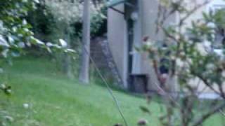 Ding Dong Ditch 2 Aka Ddd2