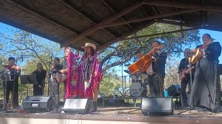 Stephanie Urbina Jones and Honky Tonk Mariachi, "The Queen of the Angels" at Luckenbach, 4/5/24