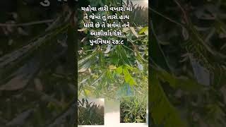चिंता न कर येशु तेरे साथ है।#yeshukimahima1234#Jesus belsing ✝️🛐👑
