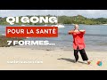 Qi gong  7 formes pour la sant