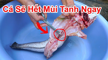 Cá Lóc Làm Rất Kỹ Mà Vẫn Còn Mùi Tanh , Thì Ra Là Chỗ Này / 4 Cách Khử Mùi Tanh Của Cá Lóc Đồng