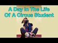 A Day In The Life Of A Circus Student — Circadium Year 1, Term 1