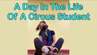 A Day In The Life Of A Circus Student Circadium Year 1, Term 1