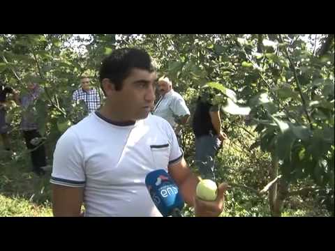 მორიგი სტიქია ზერტში-მოსახლეობა დახმარებას ითხოვს