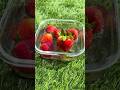 🍓 Strawberry Smoothie Recipe Malayalam| Healthy Breakfast Drink | Easy Smoothie Recipe #shorts
