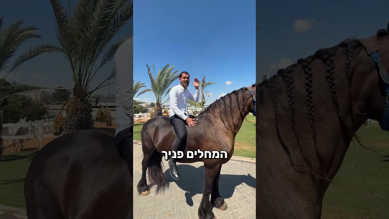 מנחשים של מי הרכב הזה?
