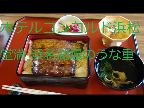浜松 コンコルド ホテル 浜松 コンコルド ホテル