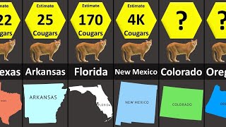 Cougar Population in USA (state wise) by DataZoo 1,614 views 10 months ago 1 minute, 44 seconds