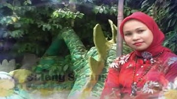 LAGU ACEH BAYGON | SALENG SAYANG | LAGU ACEH WIRDA YOSY | LAGU ACEH BEIGON