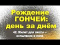 Сюжет 42. Жилет для собаки - испытание в поле