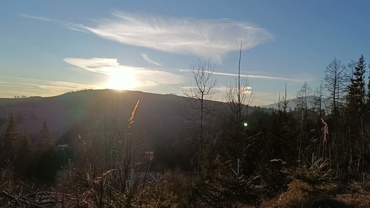 Spev vtákov pri západe slnka