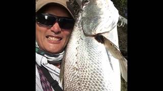 2019年初のオオニベ編 【2月11日 Palms・GIG100S】