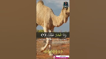 تلاوت کوتاه و فوق العاده زیبا سوره تکویر آیات ۱ الی ۹ از استاد شیخ محمد اللیثی #قرآن #Quran1080p