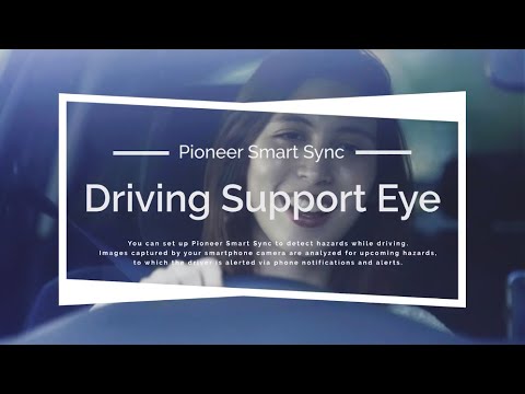 pioneer support