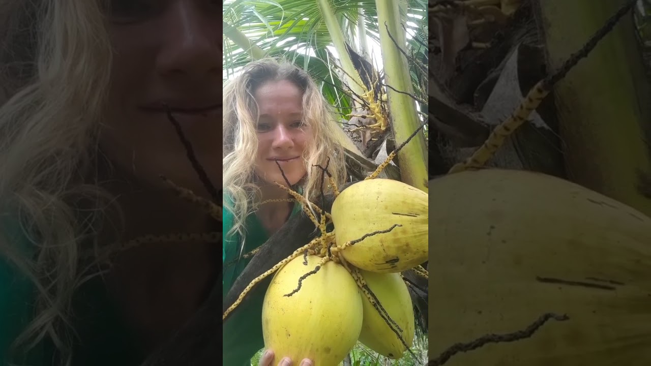 Поддержка Гаий♥️🌞🙏 Благодарююю