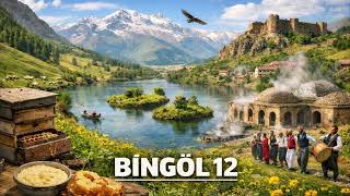 Bi̇ngöl - Şehi̇rler Tiremretu