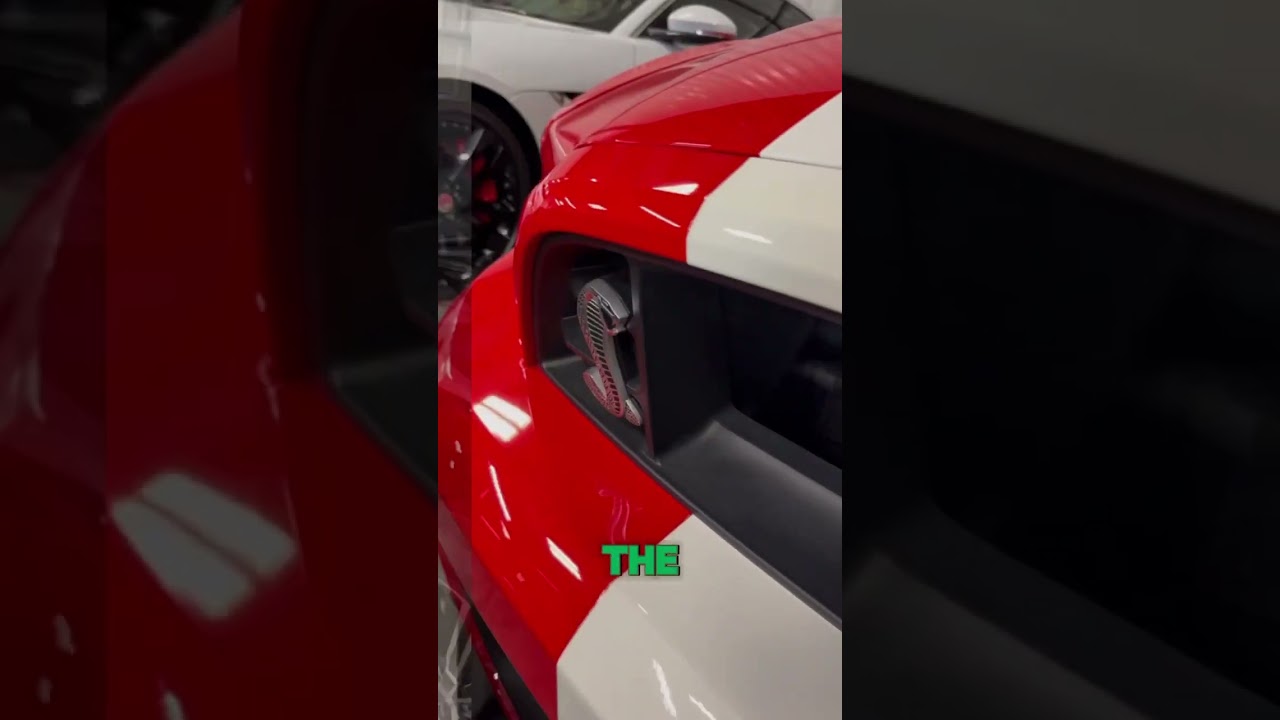 Icon is for everyone! 