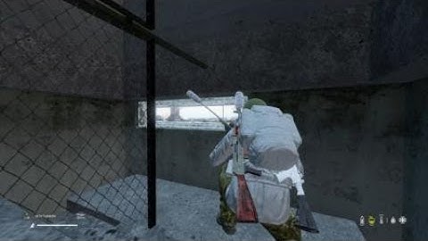 DayZ 1.20 bug