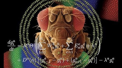 Modelling Developmental Systems, Part 1: Why model?