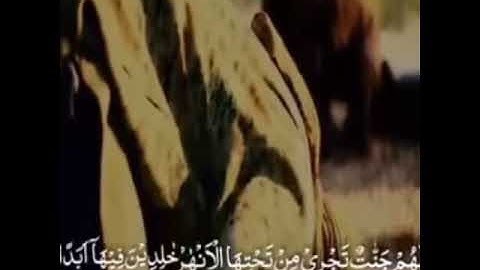 القرآن الكريم || ما تيسر من سورة المائدة