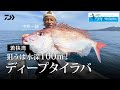 [タイラバ]ねらうは水深100m 若狭湾のディープタイラバ 中井一誠