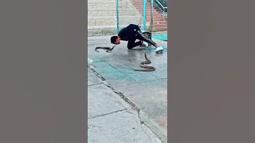 جزء 2 نبدأ بالصلاة على رسول الله Animals اكسبلور Foryou Cobra Foryou 