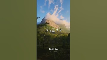 Quran Kareem story 🌸WhatsApp  أجمل قرائه قرآن كريم حالات واتس 🍃 《 سوره القيامه  》