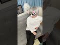 ミッフィー可愛いうさちゃん🐰 #shorts