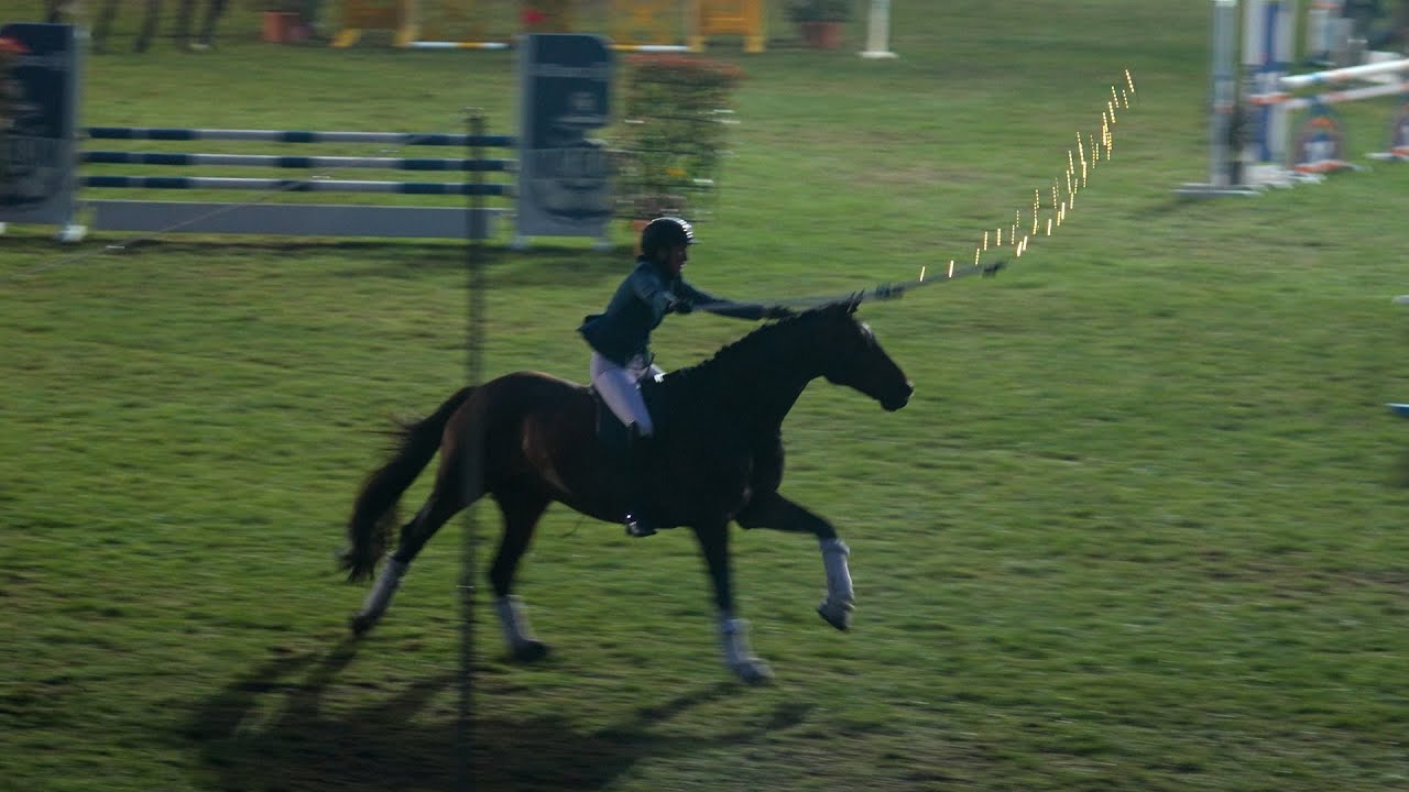 Elmloher Reitertage 2024: Die Vorstellung von Showreiterin Lisa Röckener - diesmal mit zwei Pferden