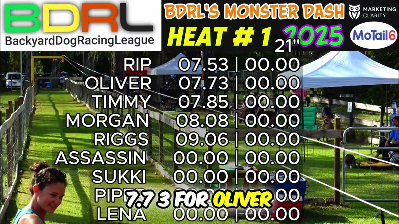 Собачьи бега: кто самый быстрый щенок? 🐶🏆