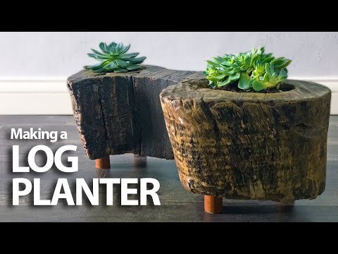 Turning a log into a planter // DIY